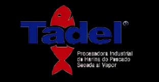Tadel